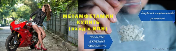прущие грибы Медвежьегорск
