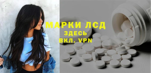 прущие грибы Медвежьегорск