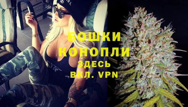 МДПВ Михайловск