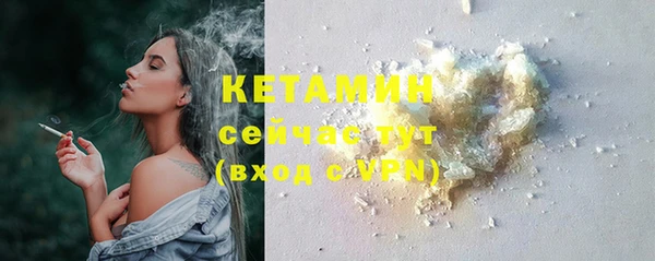 прущие грибы Медвежьегорск