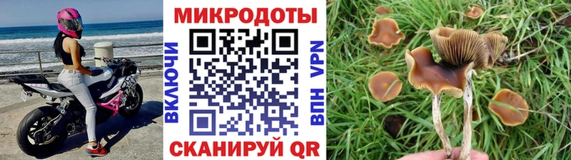 это телеграм  Новопавловск  Галлюциногенные грибы ЛСД  как найти  